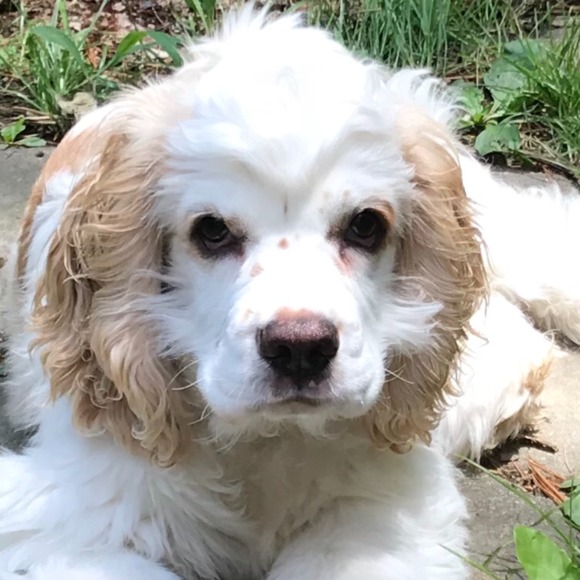 Meet your Posher, Kevin - Picture 1 of 1